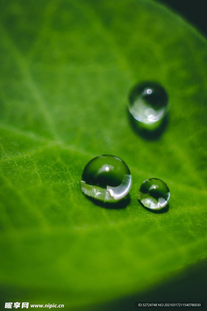 水珠