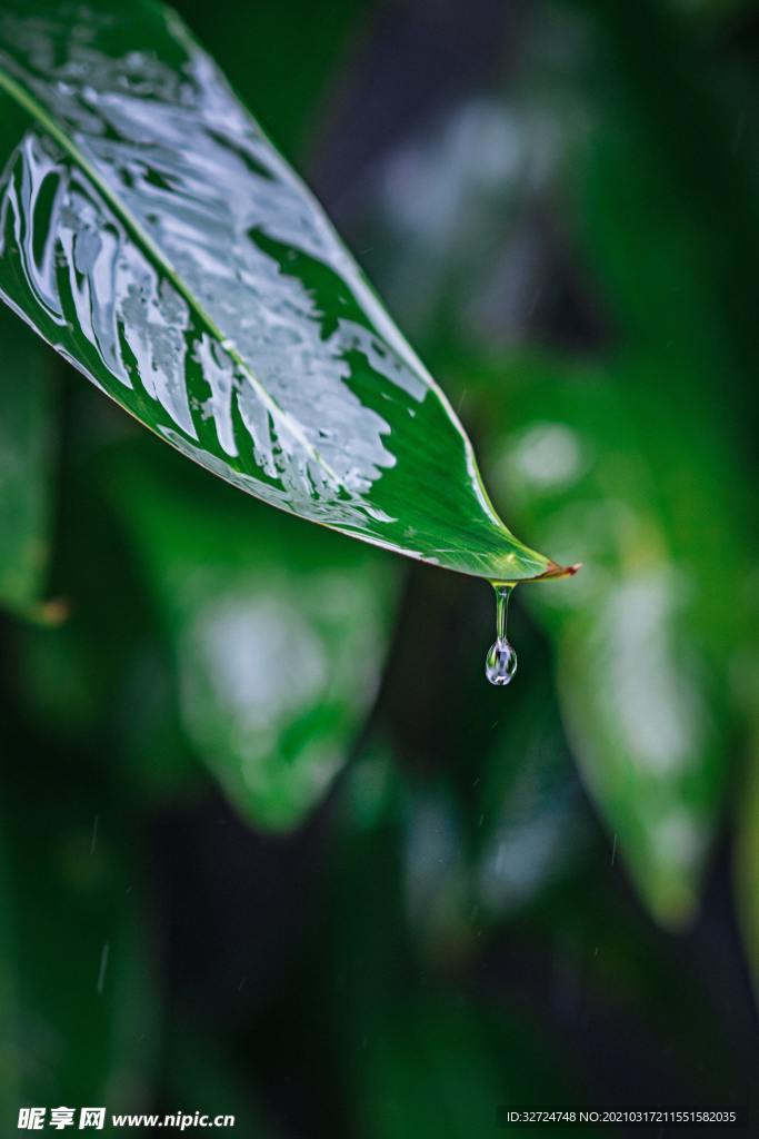 水滴