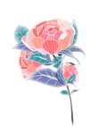 花朵