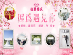粉色婚礼背景