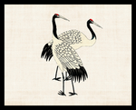 仙鹤