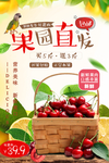 樱桃海报