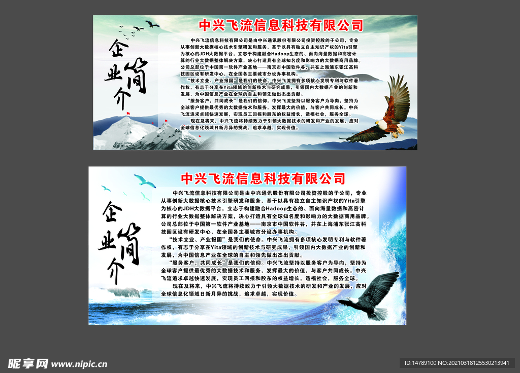 企业简介 公司简介