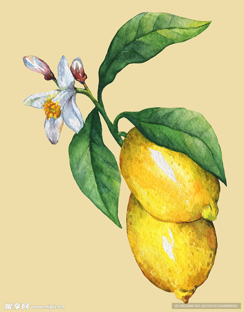 柠檬