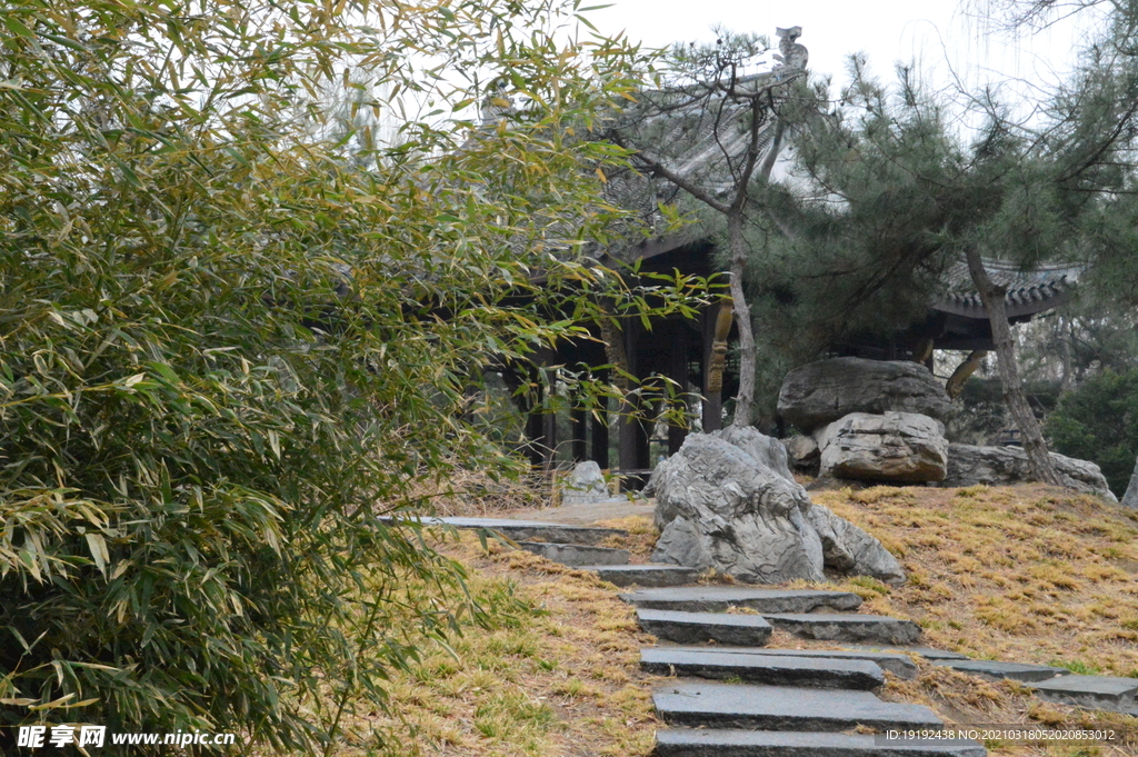 初春风景