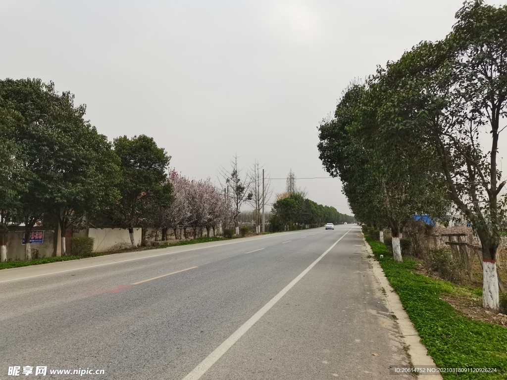 乡村道路风景
