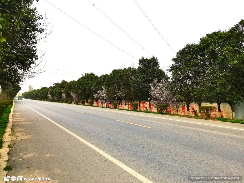 乡村道路风景