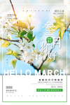 3月你好