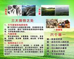 茶叶宣传单