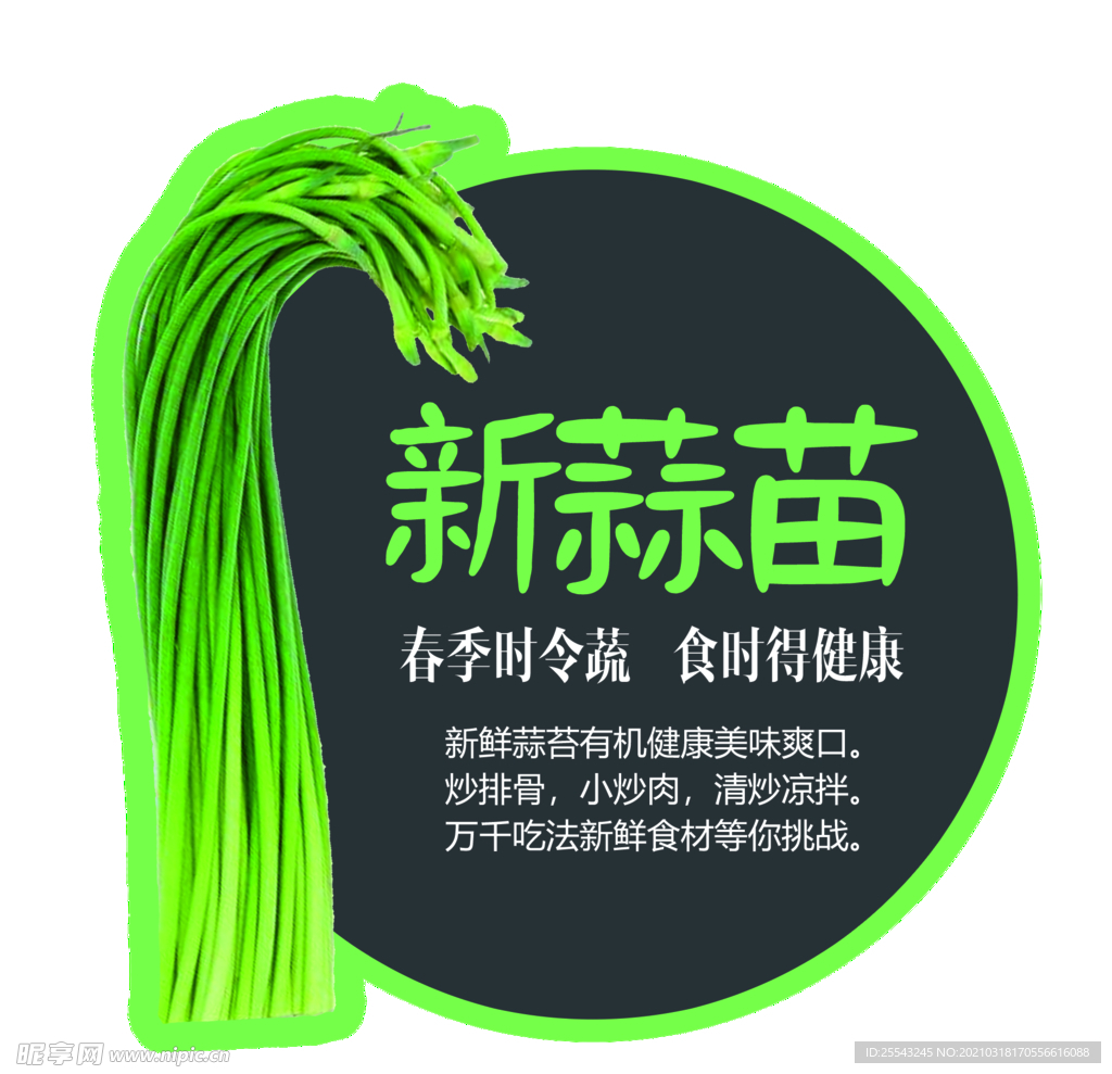 蒜苔小标签