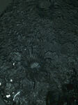 水