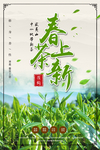 茶叶海报