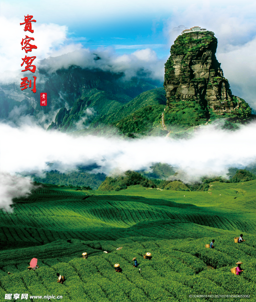 贵客驾到