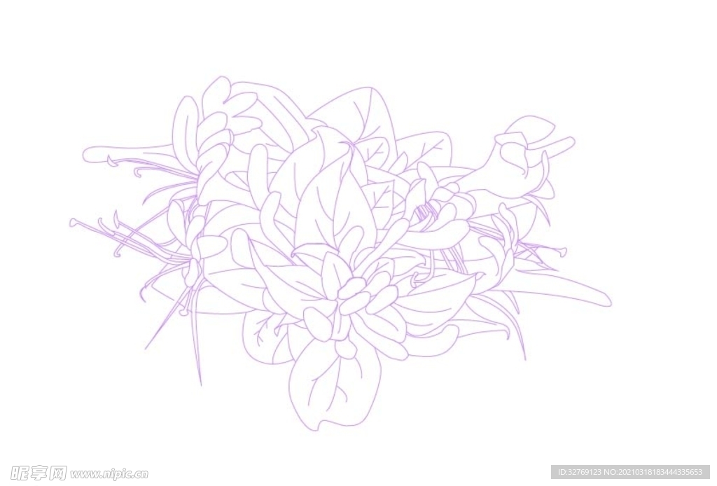 金银花AI线描