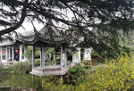 公园一角风景图