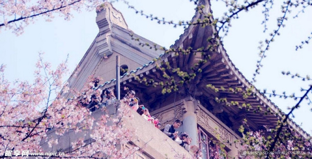 赏樱樱花粉色古风建筑公众号配图