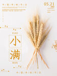 小满传统二十四节气节日宣传海报