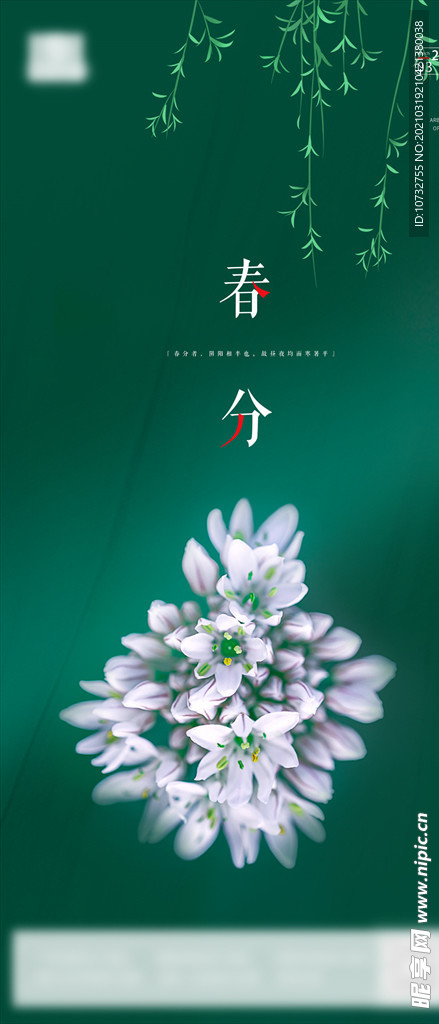 春分海报