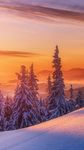 雪景