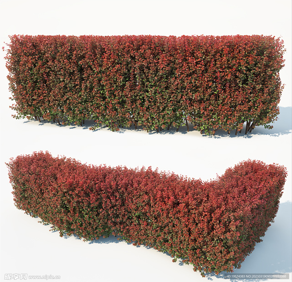 3DMAX模型灌木丛绿化树木