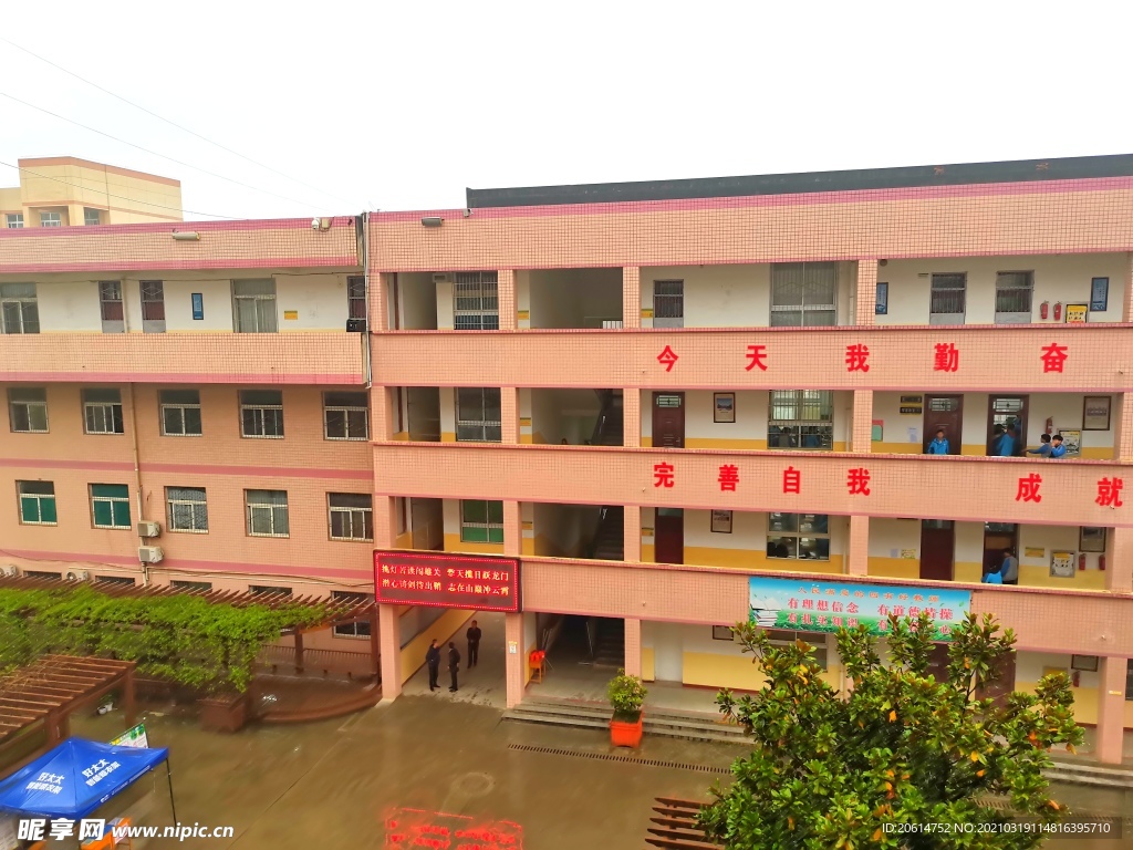 美丽的校园风景