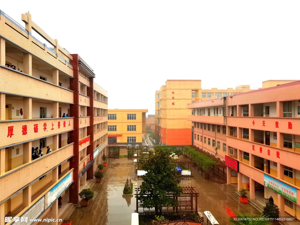 美丽的校园风景