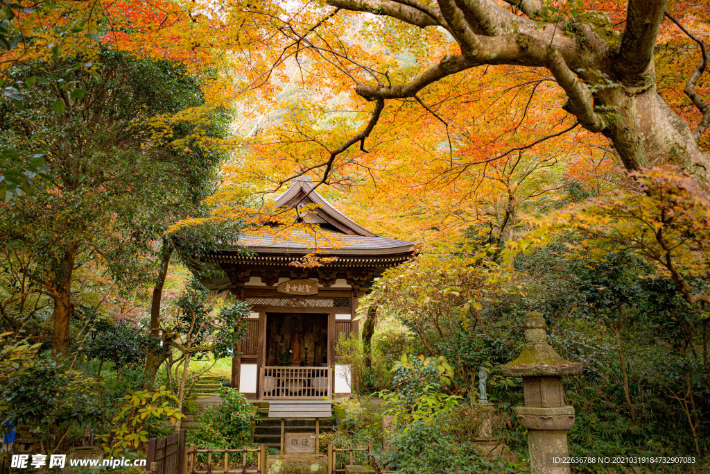 建筑风景