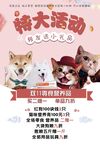 小狗 猫猫 宠物 洗澡 活动