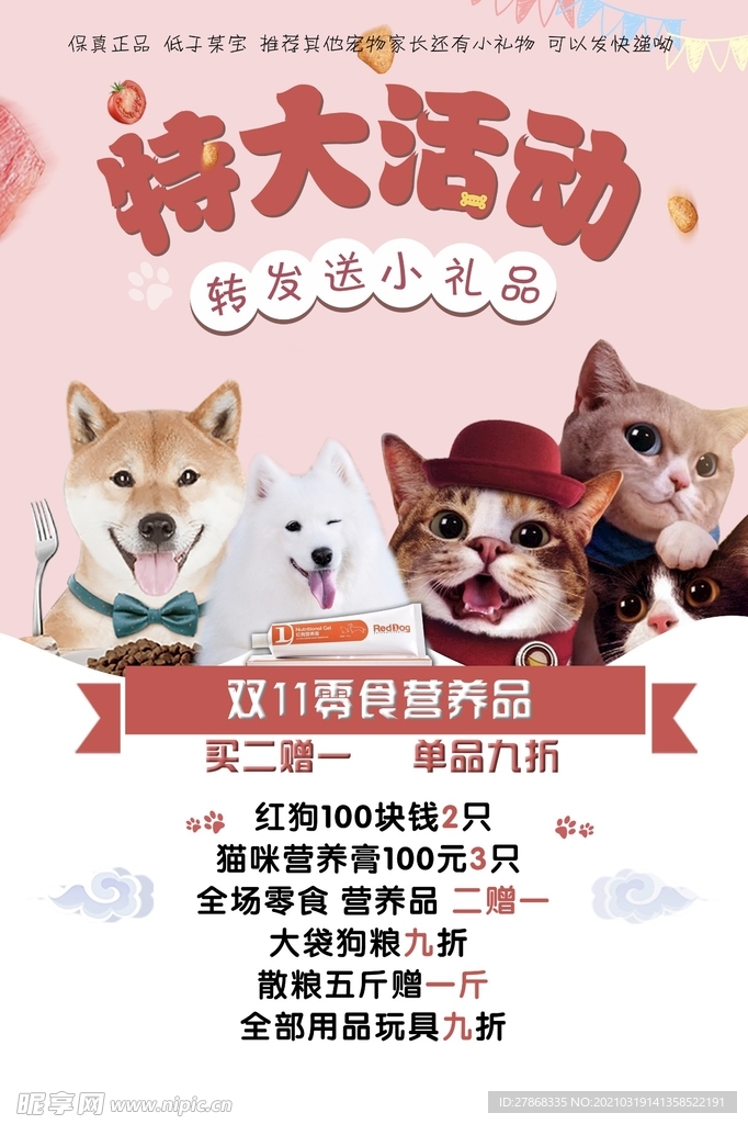 小狗 猫猫 宠物 洗澡 活动
