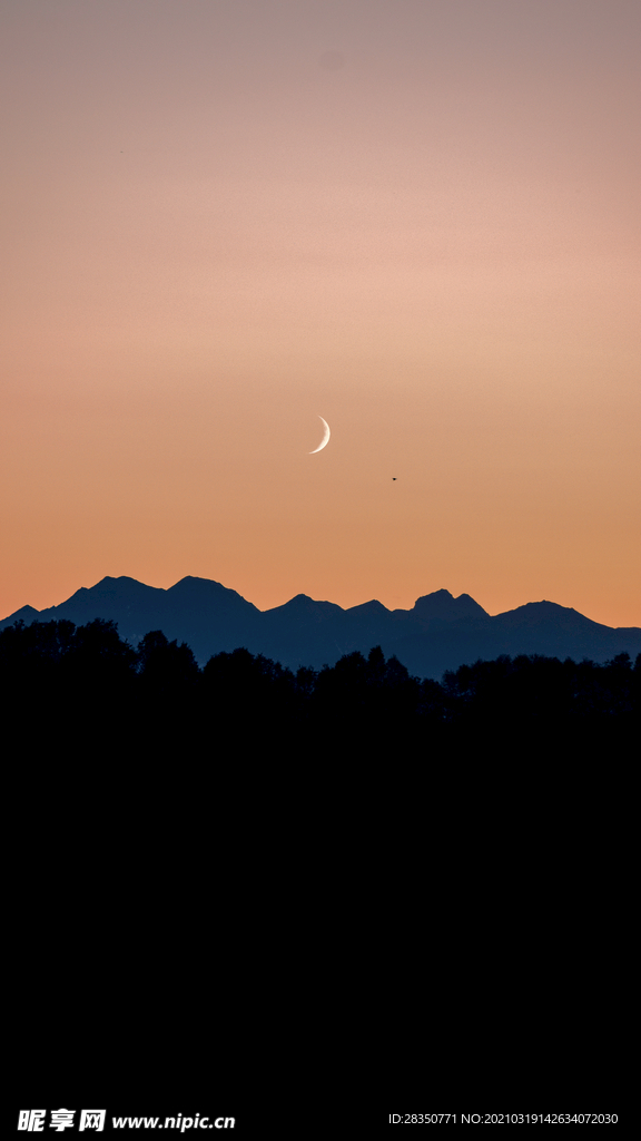 山