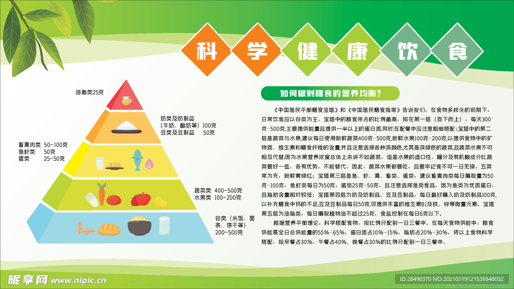 科学健康饮食