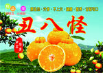 丑橘