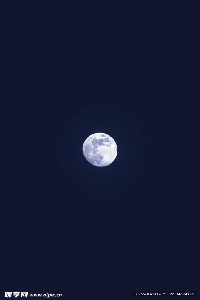 夜空月亮自然生态背景素材