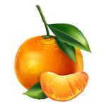 水果橘子橙