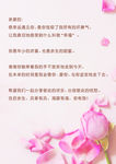粉色婚礼手卡誓言卡
