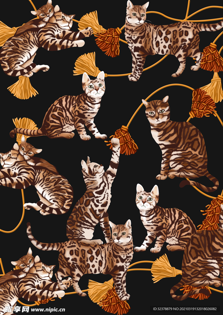猫