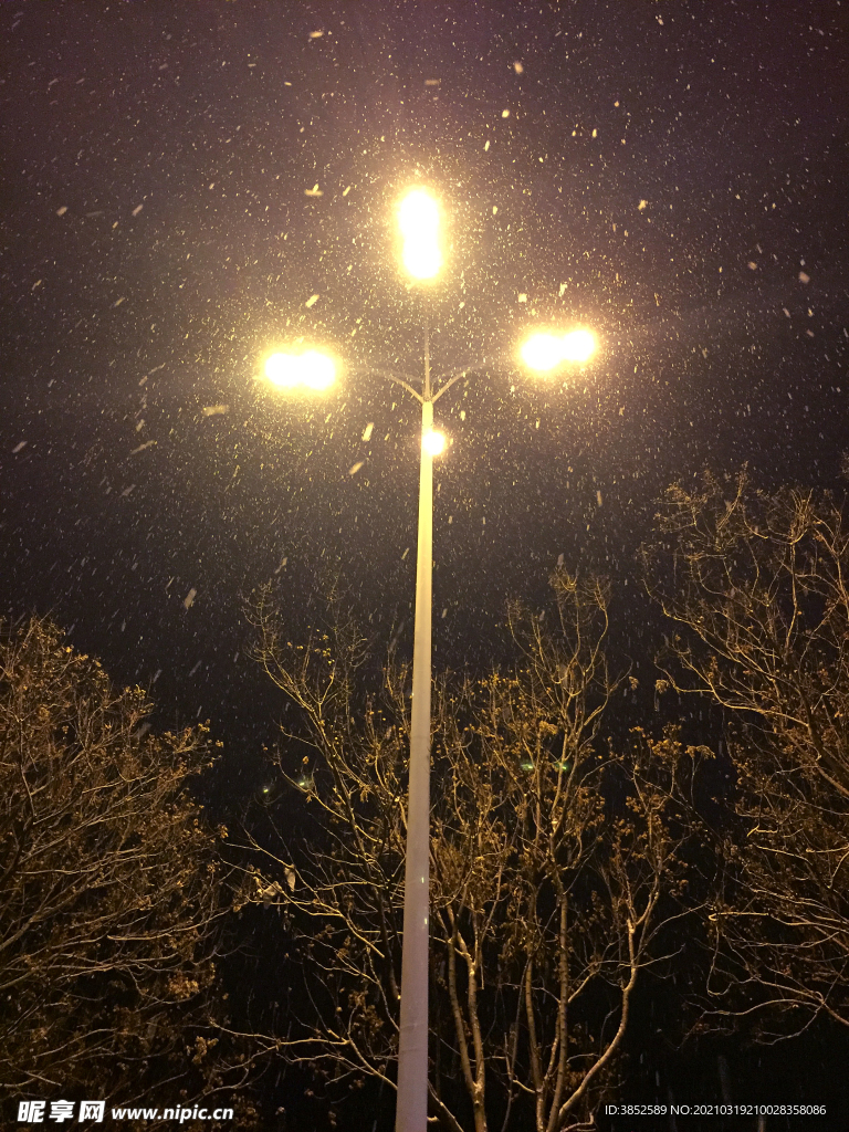 夜晚路灯雪夜飘雪