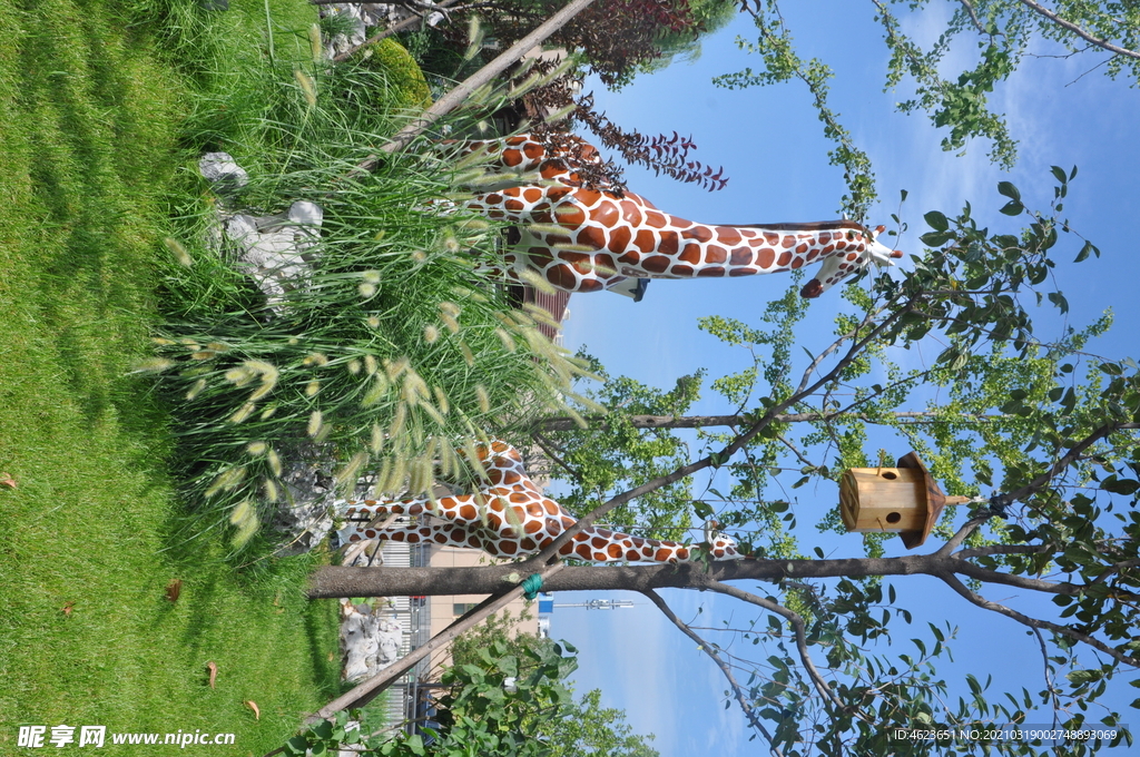 某幼儿园内长颈鹿造型雕塑