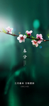 春分节气海报