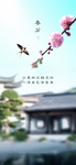 春分节气海报