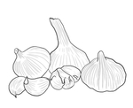 蒜
