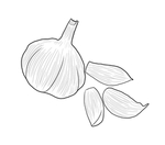 蒜