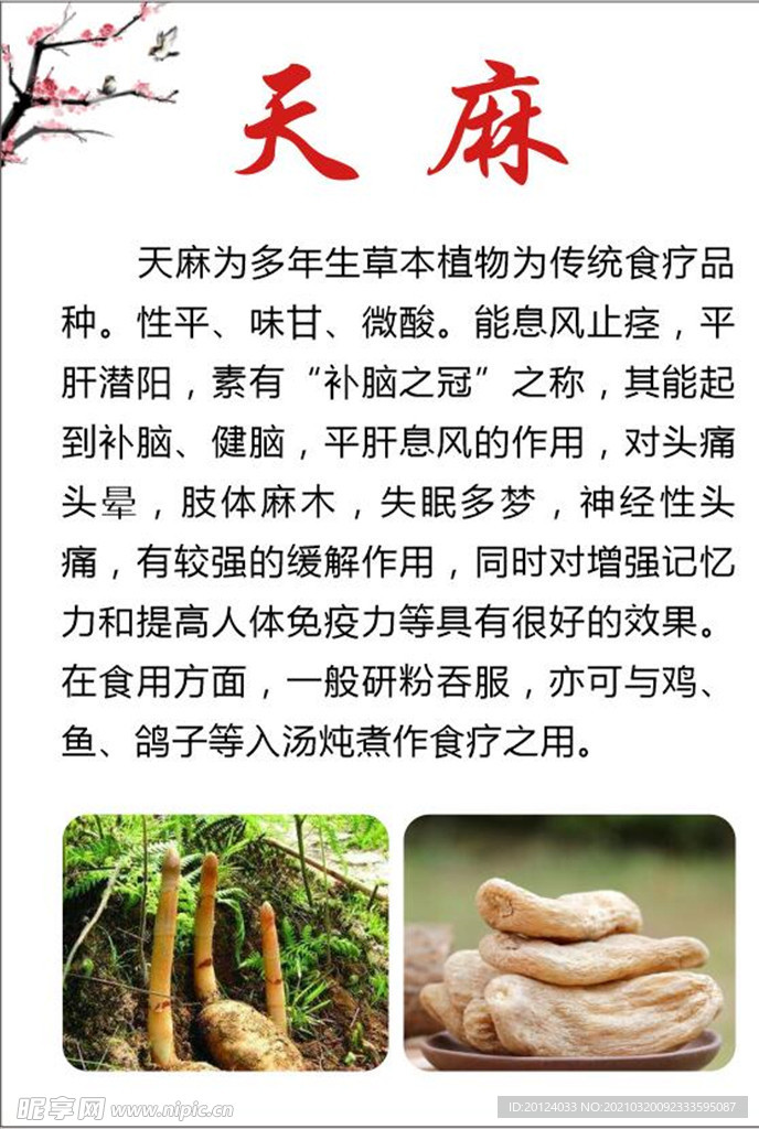 天麻