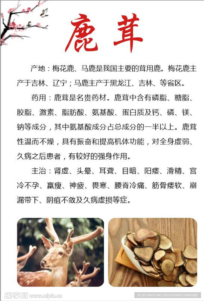 鹿茸