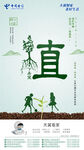 植树节