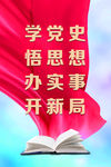 学党史 悟思想 办实事 开新局
