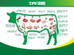 牛肉分割图海报展板