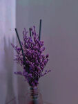 薰衣草花束