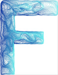 字母