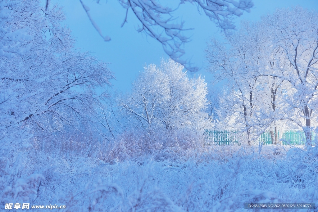 雪景